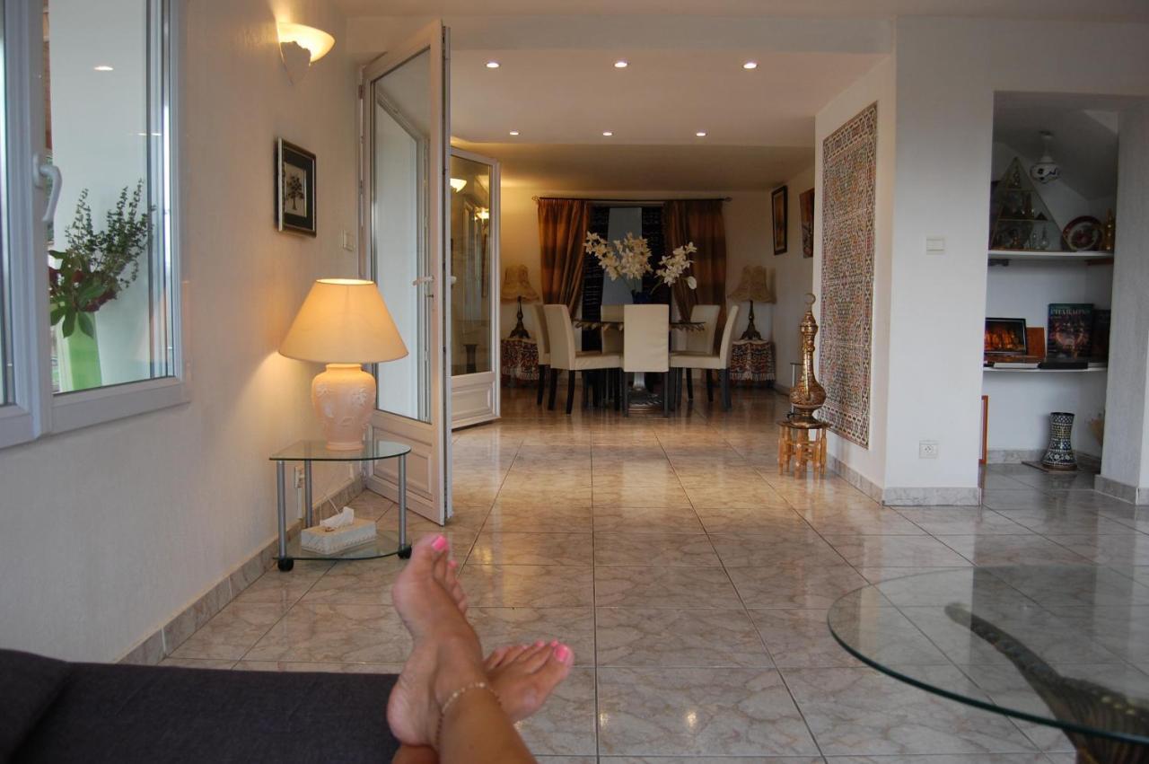 Villa Panoramique Saint-Clair-du-Rhone Eksteriør bilde