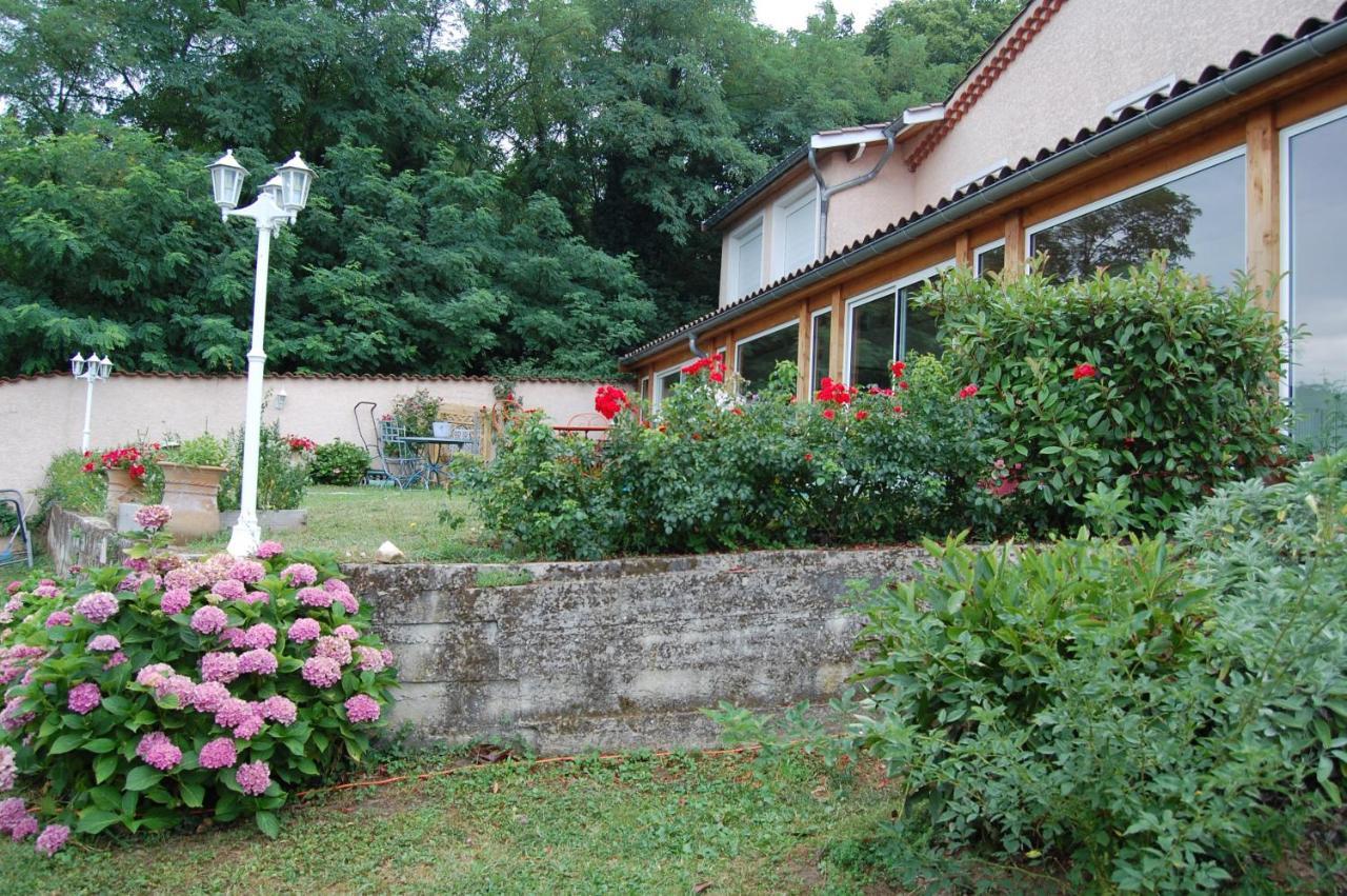 Villa Panoramique Saint-Clair-du-Rhone Eksteriør bilde