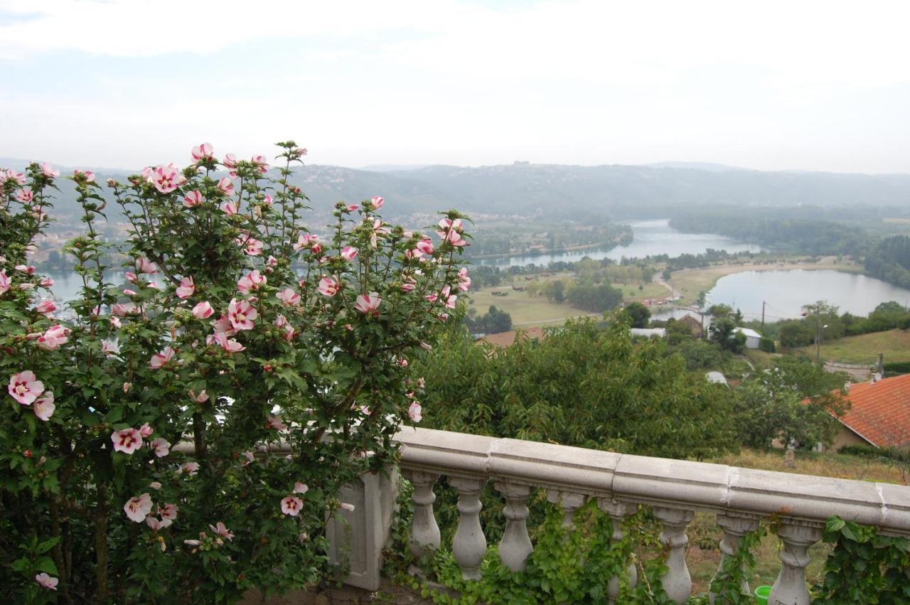 Villa Panoramique Saint-Clair-du-Rhone Eksteriør bilde